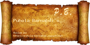 Puhola Barnabás névjegykártya
